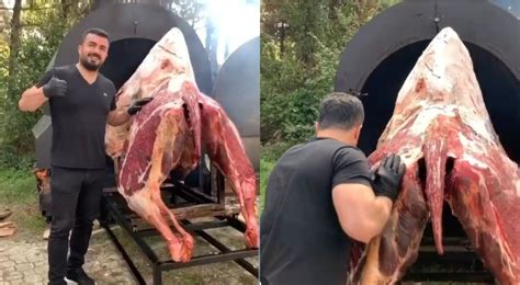 At the moment in australia they are pushing camel meat on everyone. Turks steakhouse propt een hele kameel in de smoker (video ...