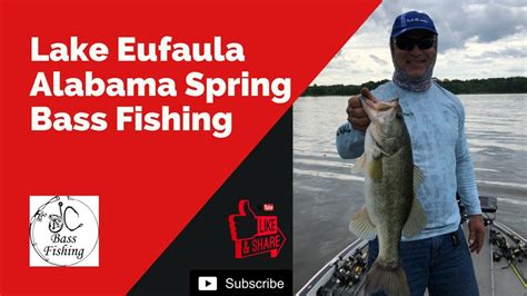 See more lake eufaula fishing facts here. Spring Bass Fishing at Lake Eufaula Alabama - YouTube