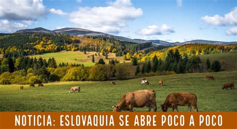 Lo más de eslovaquia es el hecho de que es un gran pequeño país. Eslovaquia abre poco a poco las fronteras al turismo ...