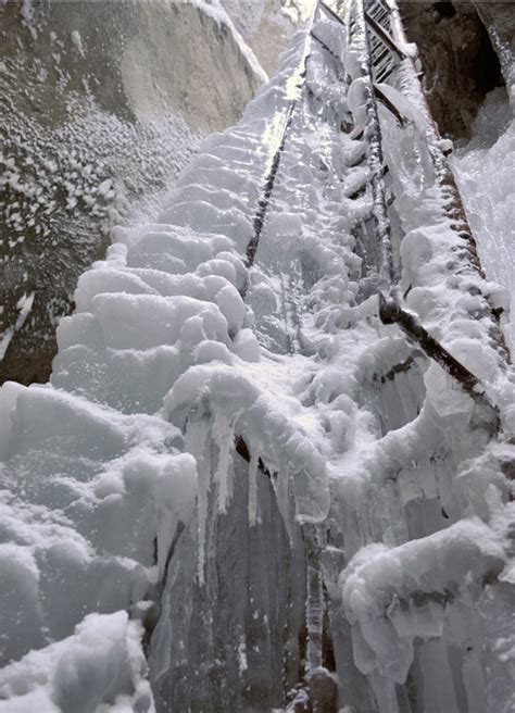 Stiam ca pana la canion trebuie sa mergi prin padure vreo 30 de minute, si cam atat. Romania tinuturi de poveste!: Cascada 7 scari