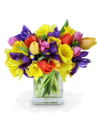 Immediately trim your flowers' stems, put them in water, and keep them cool until the big day. when daffodils, tulips and iris are in the flower bins at ...