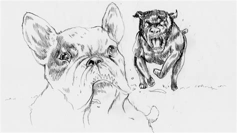 I costi da affrontare per l'adozione sono irrisori: HOW TO DRAW dog - COME DISEGNARE un cane - YouTube