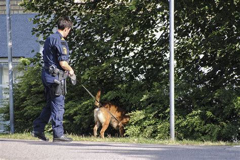 Postet av redaksjonen den 5. Linköping: Skottlossning i Berga - polisen utreder ...