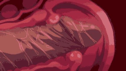 A gif from the goldmine that is "Himekishi Olivia ... Watch anime online in high 1080p quality with english subtitles.