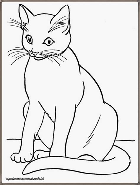 Procreate cat portrait draw with me ipad drawing using default brushes. Gambar Mewarnai Kucing Lucu - Download Kumpulan Gambar