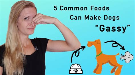 The general guidelines for dosing are as follows: Sick of Stinky Dog Farts? These 5 Common Food Types Can ...