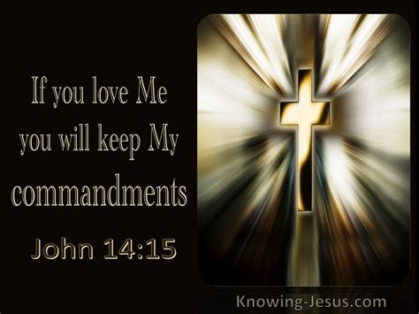 In the same upper room discourse, john quotes jesus saying yet again, whoever what does jesus mean when he says, keep my commands? is jesus referring to keeping a list of rules and laws like the ten commandments, or. John 14:15 If You Love Me You Will Keep My Commandments ...