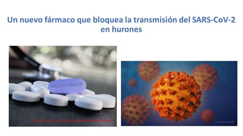 Like many nucleoside analogs, it has its. Molnupiravir 2 - MiradorSalud - VE