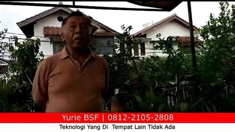 Aplikasi budidaya / berternak maggot bsf. Teknologi Maggot BSF Terbaik - Budidaya BSF Modern Tanpa ...
