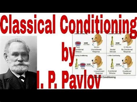 This assignment will show how through the use of classical conditioning principles that it is possible to develop phobias and that by using systematic desensitisation it is possible to overcome fears and phobias. Classical conditioning theory by I.P. Pavlov - YouTube