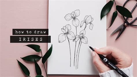 Acrylic flowers botanical flowers blossom flower day lilies dutch iris flower names blossom garden creative flowers ideas iris flowers. How To Draw An Iris | Floral Illustration - YouTube ...