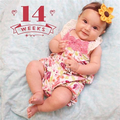 Personalize photos, share videos, and track baby milestones in your family journal, for free! 14 weeks old - weekly photo made with Baby Pics App ...