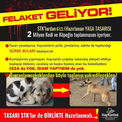 Aşı kaydı oluşturmak için ne yapmak gerekiyor? Yasa Tasarısı Felaket Getiriyor..! | Haykonfed ...