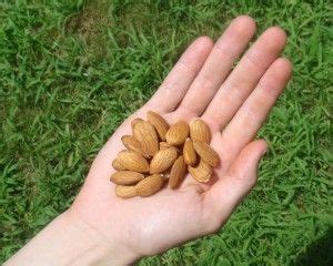 In particular, they're a good source of fiber, along with copper, thiamine, and zinc. How Many Calories In Handful Of Pecans / How Much Omega-3 in Pecans? | Healthfully - Heart ...
