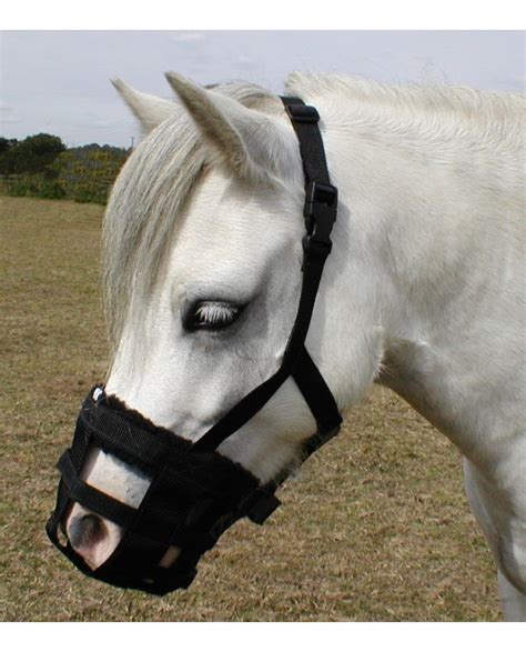 Mettre une museliere à un cheval, à un mulet, à un chien. Muselière nylon - La halle aux minis
