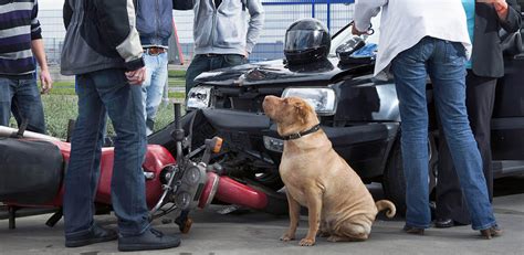 Financial recovery from an automobile accident is contingent on taking care of all the details of your case. Las Vegas Motorcycle Accident Attorney | Ladah Law Firm