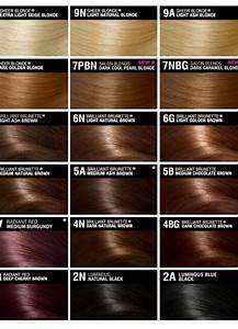 What Will My Future Child Look Like Brown Hair Chart Hair Color