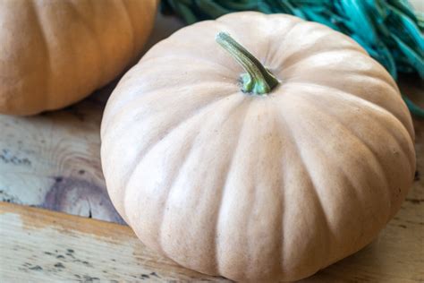 East coast heirloom long remembered as a great pie squash by people in the ny and nj areas. Smoked Pumpkin {Long Island Cheese Pumpkin} - Kitchen Laughter