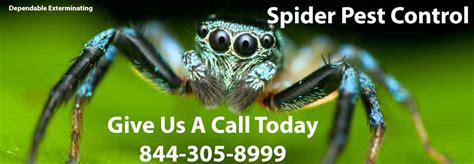 It doesn't matter if you're buying or selling a home; Spider Control | House Spiders | Spider Extermination | Pest