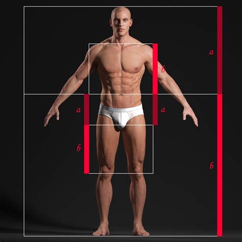 Limited time sale easy return. Male Body - Anatomy Study | Andor Kollar - Character Artist