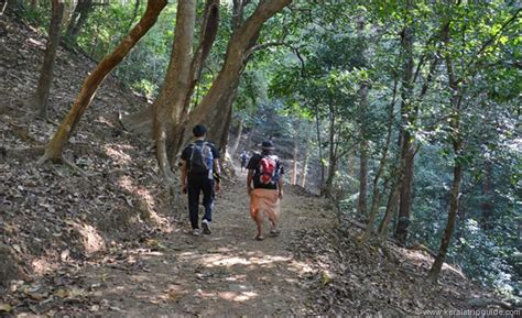 Get your passes verified and collect food coupons from the forest office. Agasthyakoodam Trek
