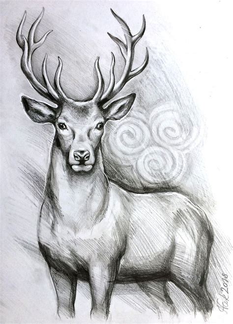 Voir plus d'idées sur le thème cerf, chevreuil, animaux. ORIGINAL cerf cerf A3 crayon dessin original dessin de | Etsy | Pencil sketches of animals, Deer ...