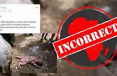 sheep man impregnates kenya nigeria reproduce people africa biologically impossible