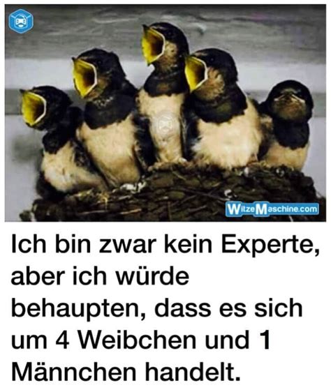 Lustige bilder zum totlachen home facebook. Witzige Bilder zum Totlachen Top 100 - WitzeMaschine ...