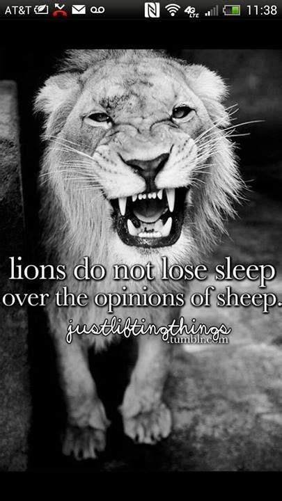 We are a generation of leaders. Lions and sheep (With images) | Lions dont lose sleep, Lion quotes, Cool words