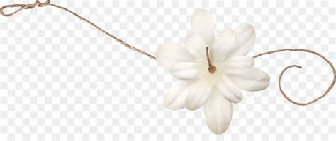 Mawar, tulip, matahari, sakura, anggrek, melati, sepatu dll. Paling Bagus 12+ Gambar Kelopak Bunga Hitam Putih - Gambar ...