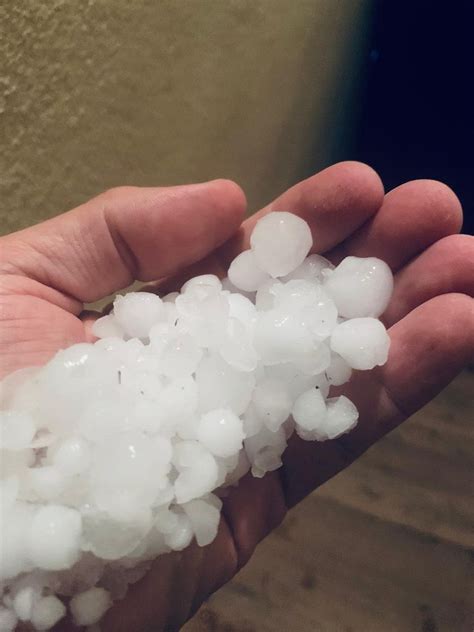 La natura fa anche paura. Grandinata in Val di Sole. Gravi danni ai frutteti tra ...