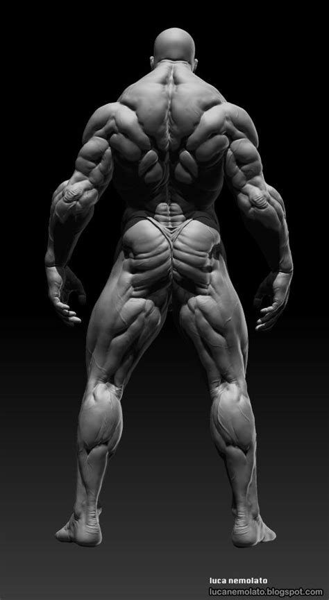 The beginner as well as advanced players meet with the problem when building a powerful chest. 1000+ images about Male Body Reference on Pinterest ...