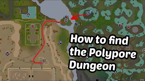 The skeletal horde is one of the boss monsters that you might encounter in the dungeons of daemonheim, whilst training dungeoneering. Runescape - How to get to Polypore Dungeon - YouTube