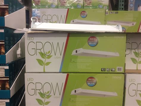 Learn which led grow lights are the best and why led grow lights are popular among marijuana growers. Looks like Costco is getting ready for Oct 17th. : halifax