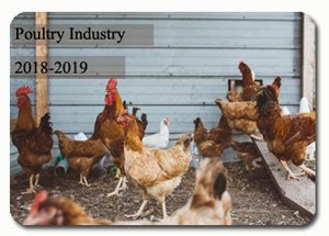 The outlook for the global poultry industry in 2018 is promising, with positive fundamentals. Indian Poultry Industry | Poultry Industry at a glance ...