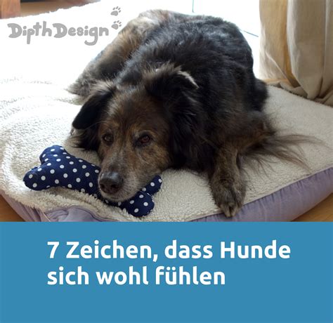 Also im allgemeinen sollten welpen sehr gut beobachtet werden und so ungefähr alle 2 stunden raus gehen. 7 Zeichen dass Hunde sich wohl fühlen | Hunde