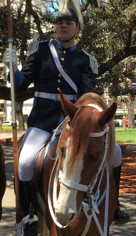 Este sábado, autoridades militares locales conmemoraron en el regimiento de caballería de tanques 13 con asiento en la ciudad de general pico, el día del ejército argentino. REMONTA DEL EJÉRCITO ARGENTINO | Ejercito argentino ...