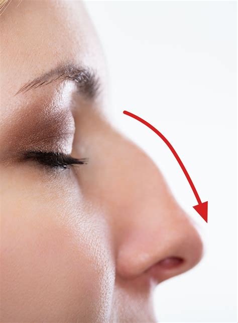 How do you contour a big crooked nose that protrudes against the rest of the face to look straighter and shorter? How To Contour A Big Nose With Bump - How to Wiki 89