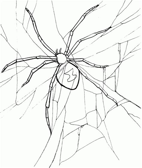Black widow color warm up to start my day right. thesebemypics: Black Widow Spider Coloring Sheet