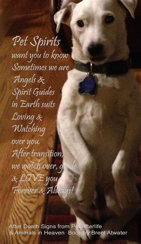 Categories pet grief poems post navigation. Inspirational dog loss quotes from Animal souls w Brent ...