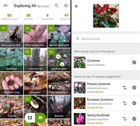 The flowerchecker app is basically a paid plant identification app. 9 Best Free Plant Identification Apps For Android & iOS (2020)