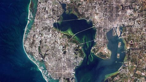 Tampa, peter o knight airport, usa). Florida's Tampa Bay Has 4 Billion Microplastic Particles ...