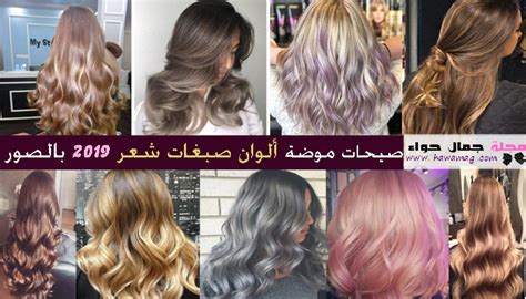 اجمل الوان الشعر الاشقر الرمادي - تسريحات الشعر