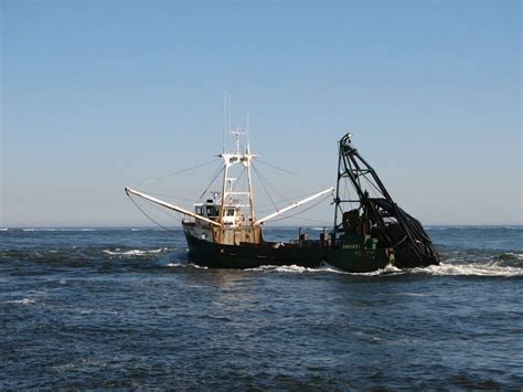 Dredger Fishing Boats