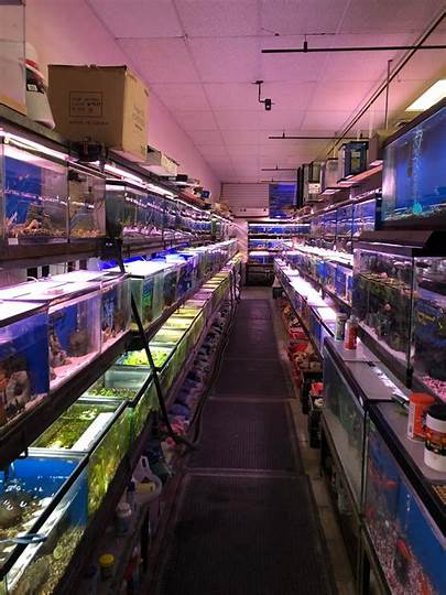 Local Pet Store for Cheap Fish Tanks
