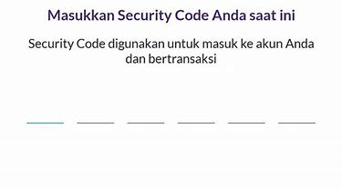 OVO Security Code 